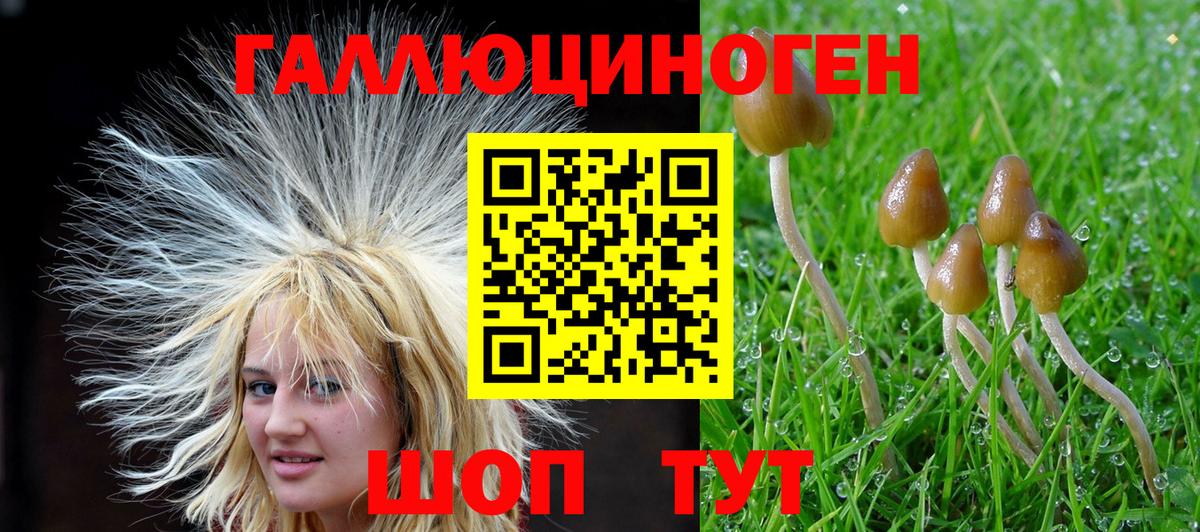 Котлас  Псилоцибиновые грибы мухоморы  закладки  Вход с VPN 
