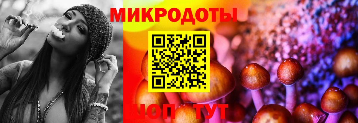 Псилоцибиновые грибы Cubensis Котлас
